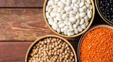 أسعار الفول البلدي والبقوليات في كفر الشيخ تتصدر السوق السبت 22-11-2025